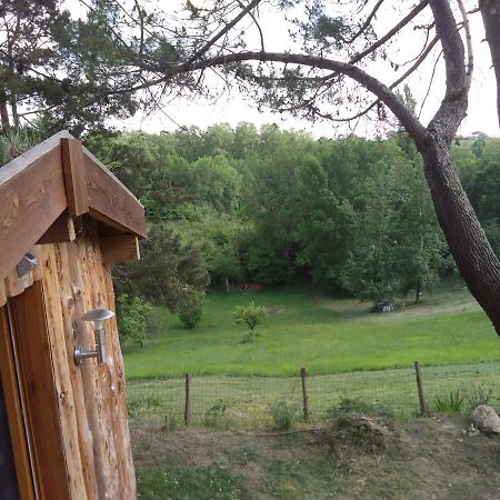 La Cabane En Bois Villemur-sur-Tarn ภายนอก รูปภาพ