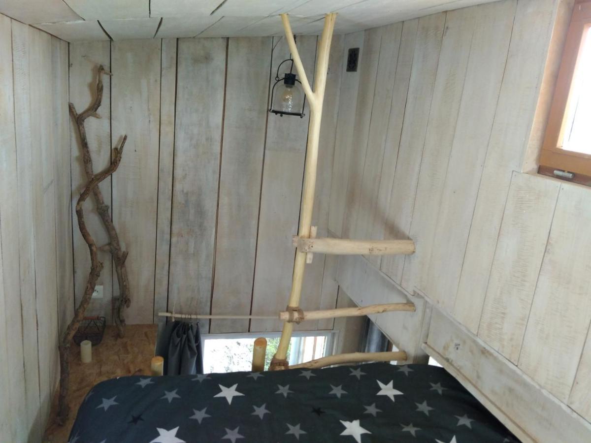 La Cabane En Bois Villemur-sur-Tarn ภายนอก รูปภาพ