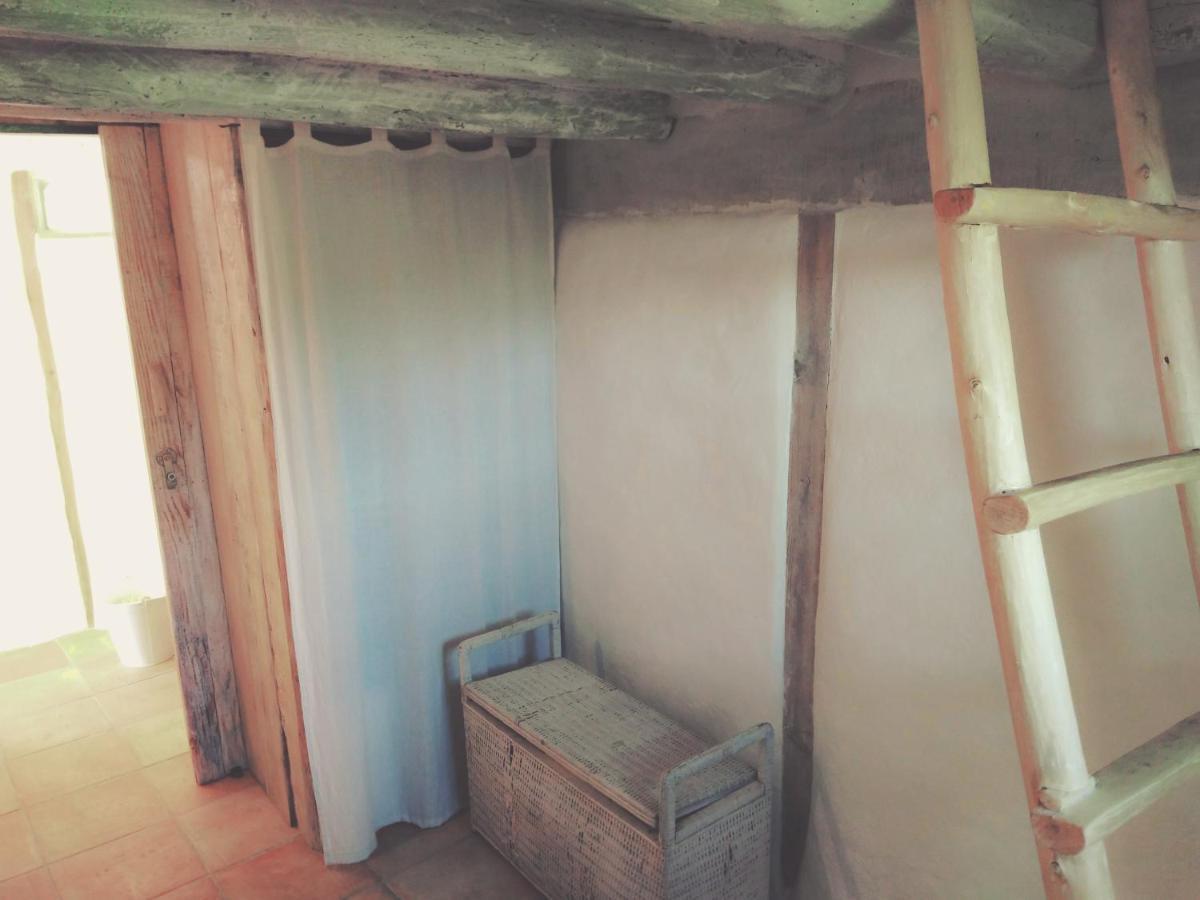 La Cabane En Bois Villemur-sur-Tarn ภายนอก รูปภาพ