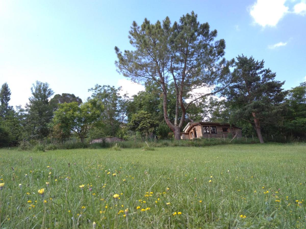 La Cabane En Bois Villemur-sur-Tarn ภายนอก รูปภาพ