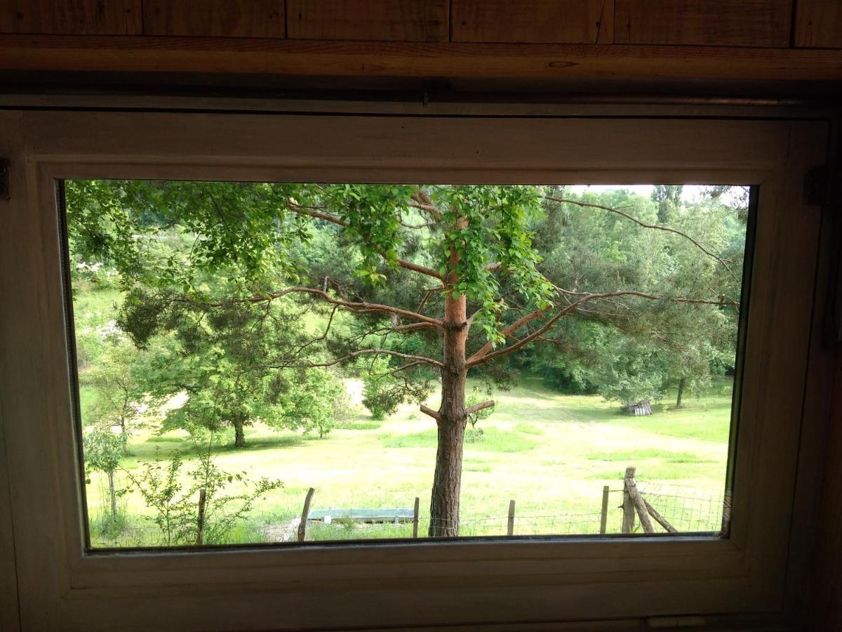 La Cabane En Bois Villemur-sur-Tarn ภายนอก รูปภาพ