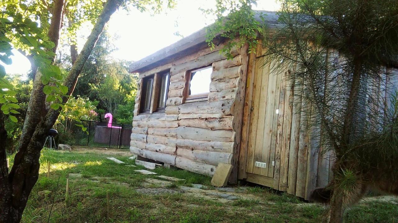 La Cabane En Bois Villemur-sur-Tarn ภายนอก รูปภาพ