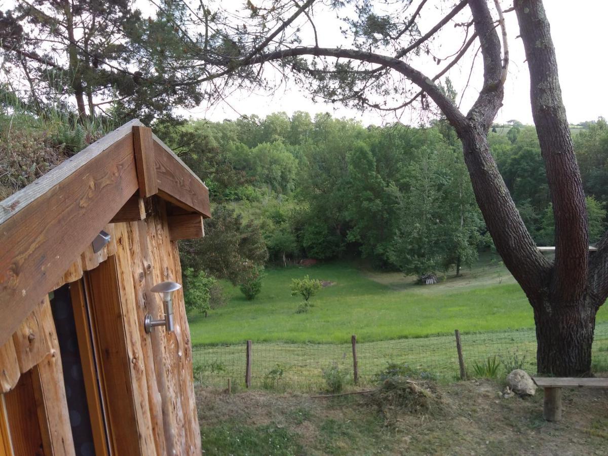 La Cabane En Bois Villemur-sur-Tarn ภายนอก รูปภาพ