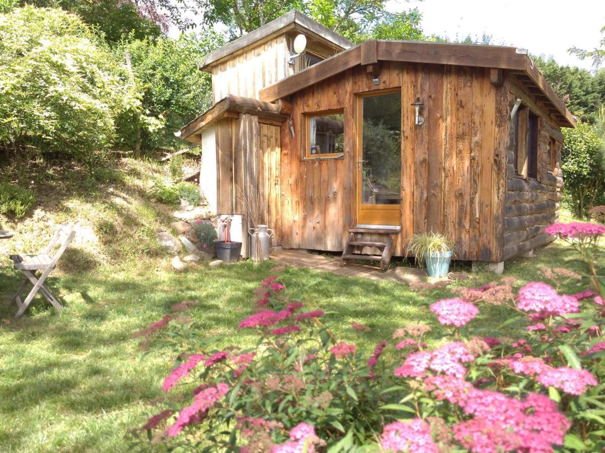 La Cabane En Bois Villemur-sur-Tarn ภายนอก รูปภาพ