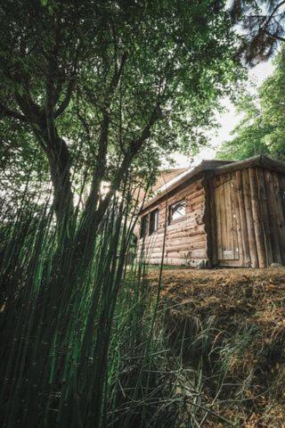 La Cabane En Bois Villemur-sur-Tarn ภายนอก รูปภาพ